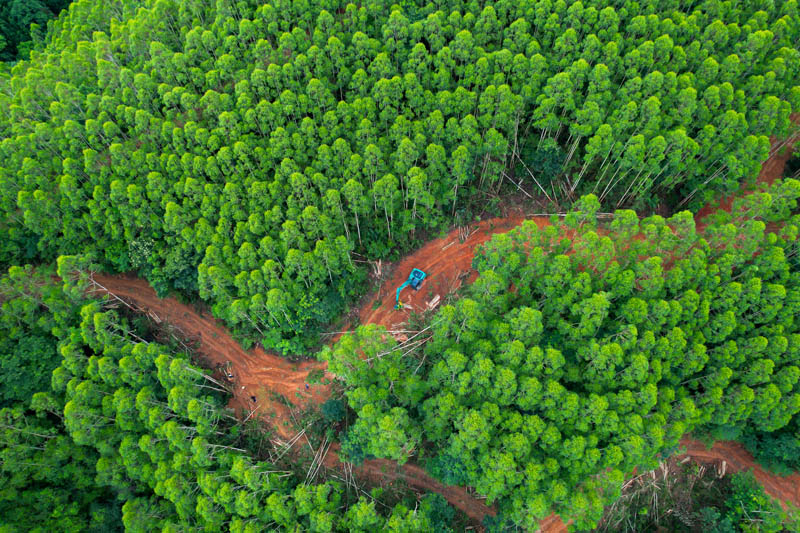 放圖片1.jpg 放圖片1.jpg